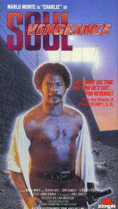 VHS box for Soul Vengeance (1975).