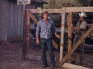 The front gate of the "prison" in Garden of the Dead (1972)